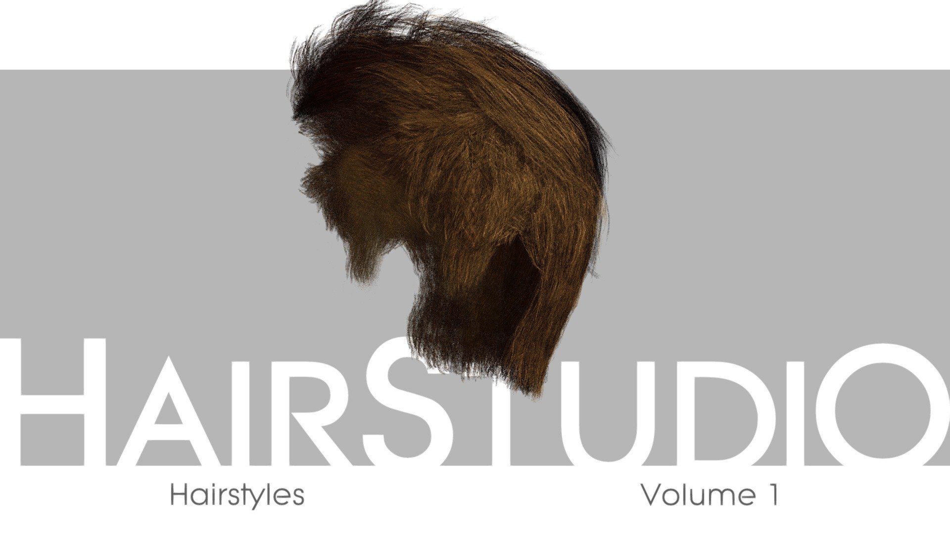 Full/Messy/Classic HairStyle from HairStudio Vol.01. 

Please see &ldquo;annotations
