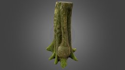 Photoscanned Tree Trunk tree, forest, trunk, bark, moss, photogrammetry, scan