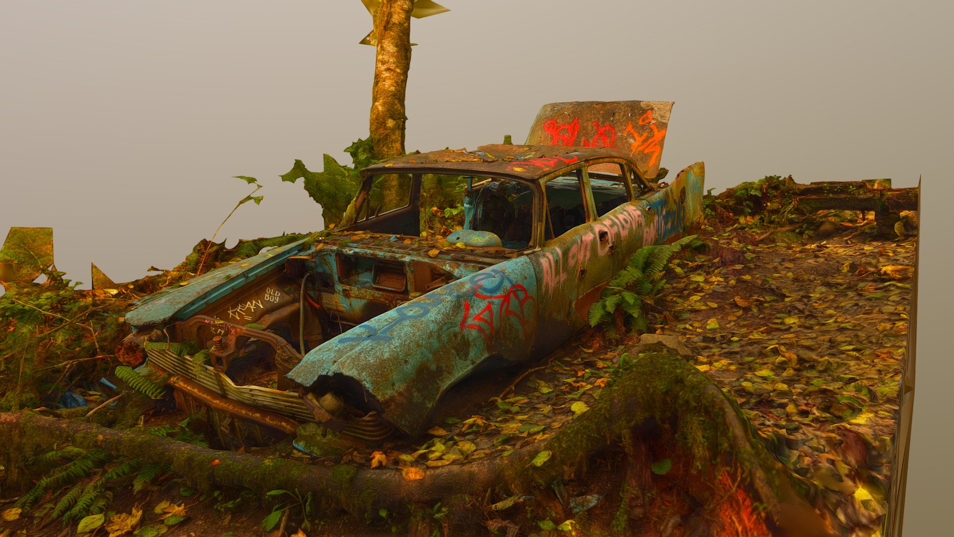 Found on the Melmont Ghost Town Hike 3d model