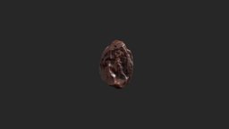 photogrammetry raisin metashape, photogrammetry, blender