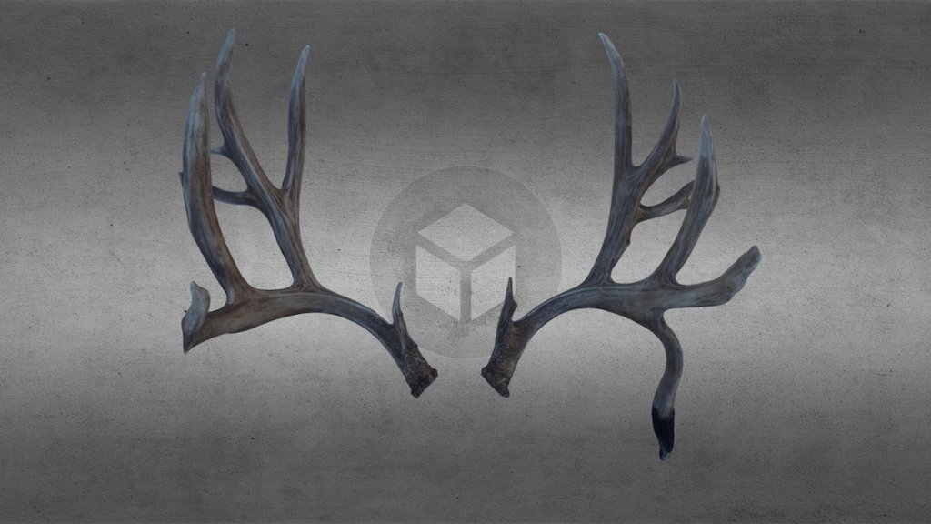 Steve Alderman
&ldquo;Buck Norris