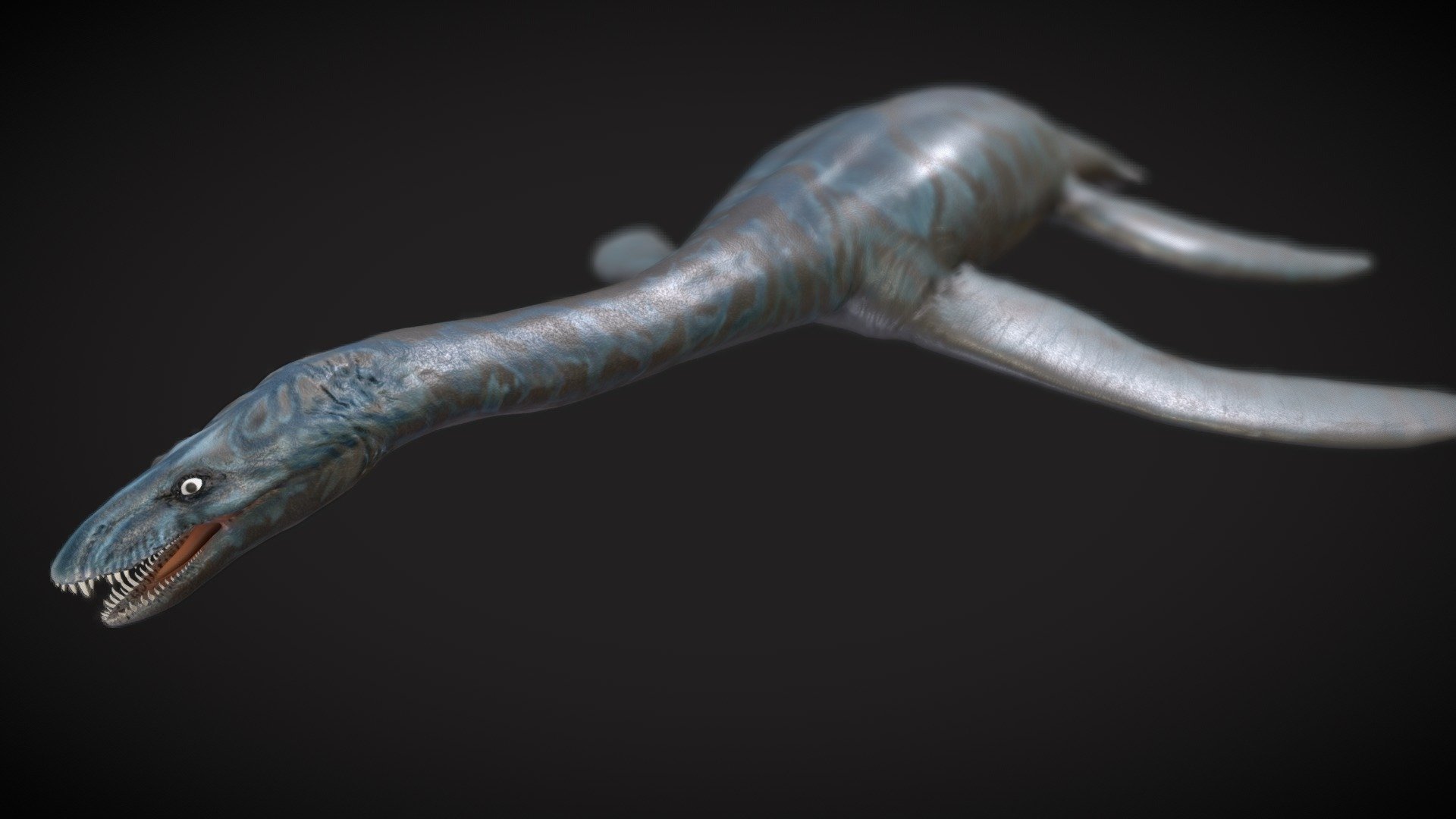 Plesiosaurs, a group of marine reptiles, glided through the ancient seas during the Mesozoic Era, particularly in the Jurassic and Cretaceous periods. These creatures were not dinosaurs but were distant relatives of reptiles like turtles and lizards. Plesiosaurs are characterized by their long necks, barrel-shaped bodies, and four paddle-like limbs adapted for swimming.

One well-known example is Elasmosaurus, a type of plesiosaur with an exceptionally long neck. Another is Plesiosaurus itself, one of the first discoveries of this group. These marine reptiles likely fed on fish and other marine organisms, showcasing the incredible diversity of life in prehistoric oceans.

Dive into the ancient seas with Plesiosaurs, and explore the mysteries of Mesozoic marine life. Uncover the wonders of these prehistoric swimmers with - Broncosaurus - Buy Royalty Free 3D model by robertfabiani 3d model