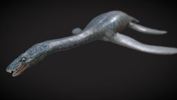 Broncosaurus lizard, paleontology, naturalhistory, jurassicworld, dragon, dino, fossildiscovery, cretaceousera, ancientseas, plesiosaurs, mesozoicmarinelife, prehistoricwonders