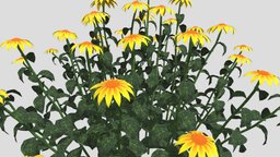 Echinacea Flower 3d model stl, forest, grass, flower, flowers, tulip, natural, leaf, echinacea