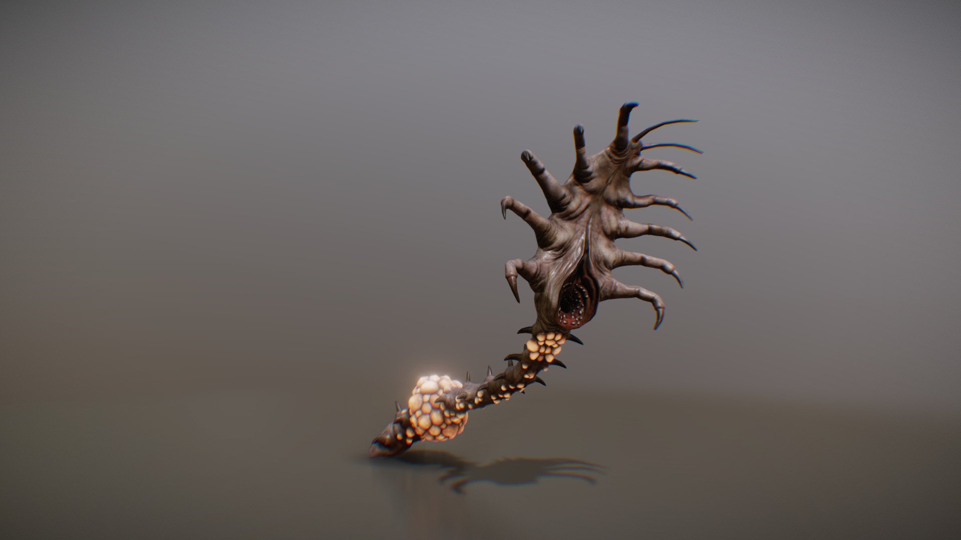 SERPMARE ANIMATIONS - Buy Royalty Free 3D model by PROTOFACTOR, INC. (@protofactor) 3d model
