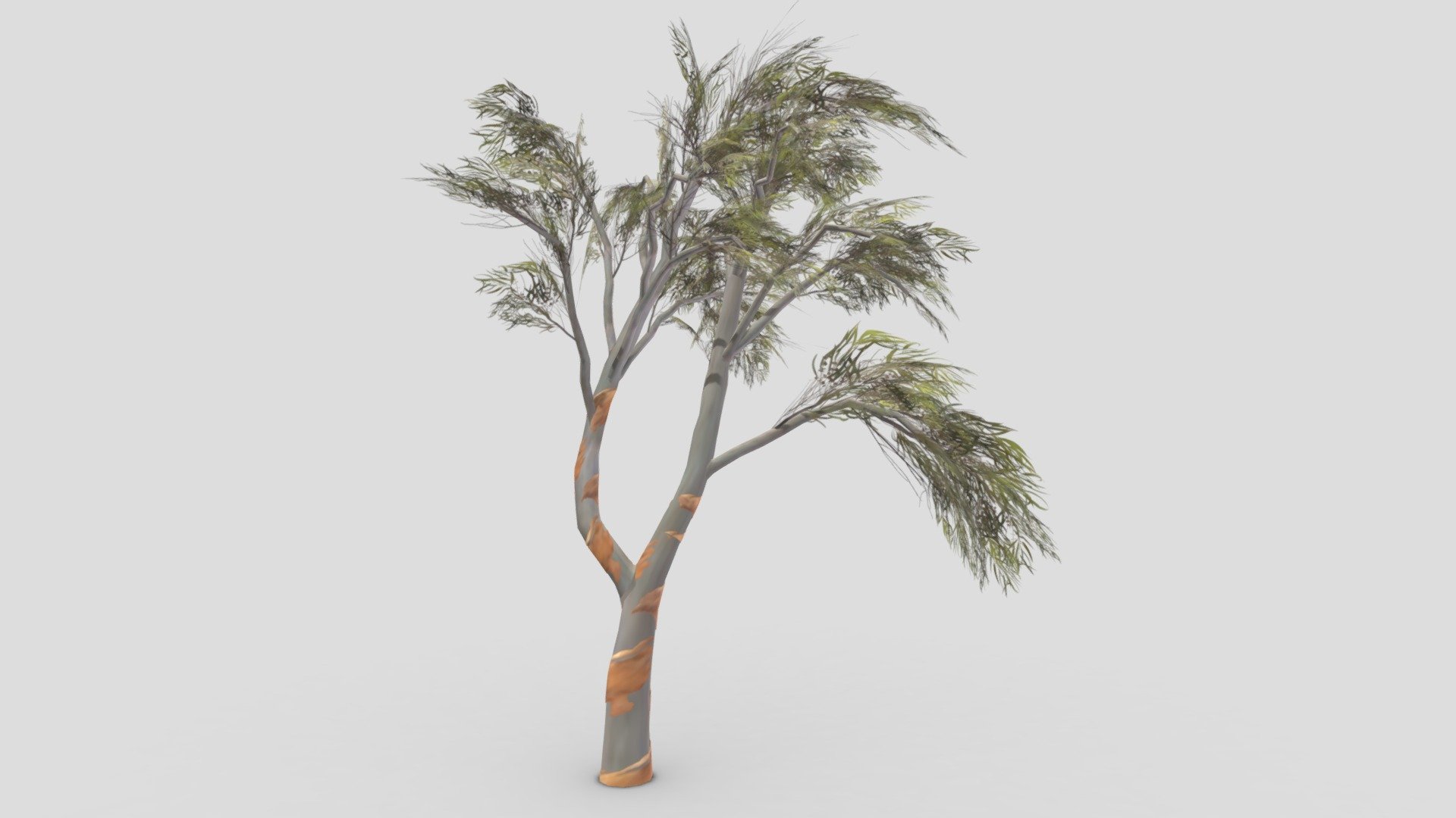 This is a low poly model of the Eucalyptus Aus Tree. I made this file for game developers and I try to provide lowpoly model 3d model