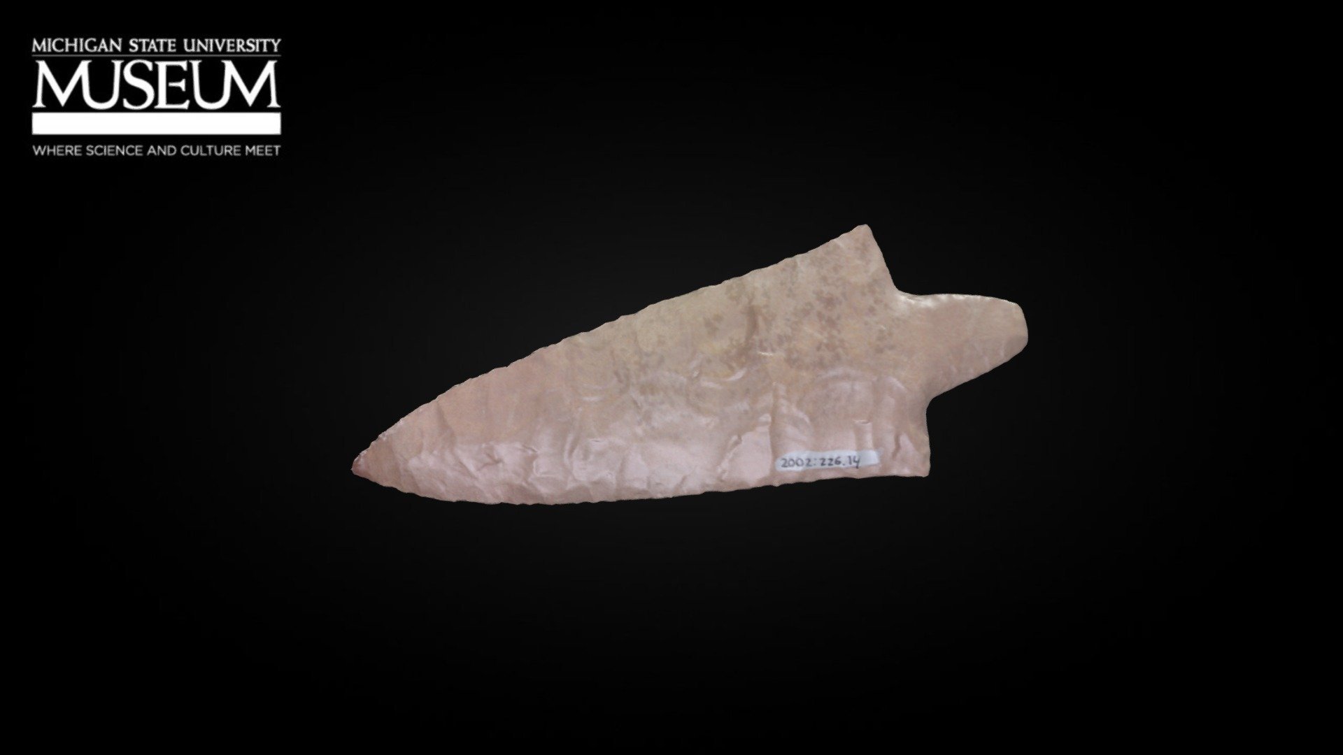 Replica Dickson Projectile Point (Catalog # 2002:226.14), a part of the Michigan State University Museum's Archaeology Teaching Collection. This tool, created by Tim Dillard, is made out of heat-treated Burlington chert and was shaped through flintknapping. Dickson points date to the Early Woodland Period in the Eastern Woodlands of North America and are found in the midwestern U.S, especially in Illinois and surrounding states. These points would have functioned as spear tips or as multi-purpose cutting tools.    

Dimensions: approximately 13.3cm L x 5cm W x 0.8cm T, weight= 43.5g  

This 3D model was created by Jeff Painter using an Artec Space Spider and Artec Studio 14 Professional, in partnership with the MSU Digital Heritage Imaging and Innovation (DHI) Lab 3d model