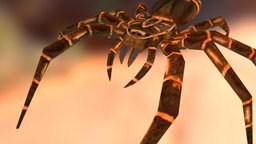 Spider blender-3d, 3dhaupt, game, blender, blender3d, animal, noai