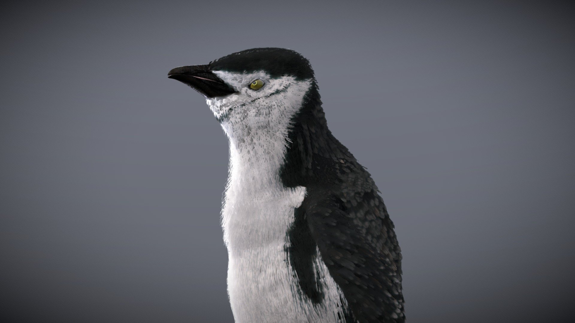 Before purchasing this model, you can download Guppy and try to import it.
Because for different software, rigging and animation may have different problems 3d model