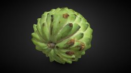 SugarApple sugarapple, photogrammetry, 3dsmax, 3dsmaxpublisher