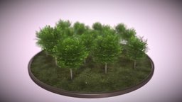 Linden 6 Meter spring, blender-3d, linden, fruehling, 6-meter, 3dhaupt