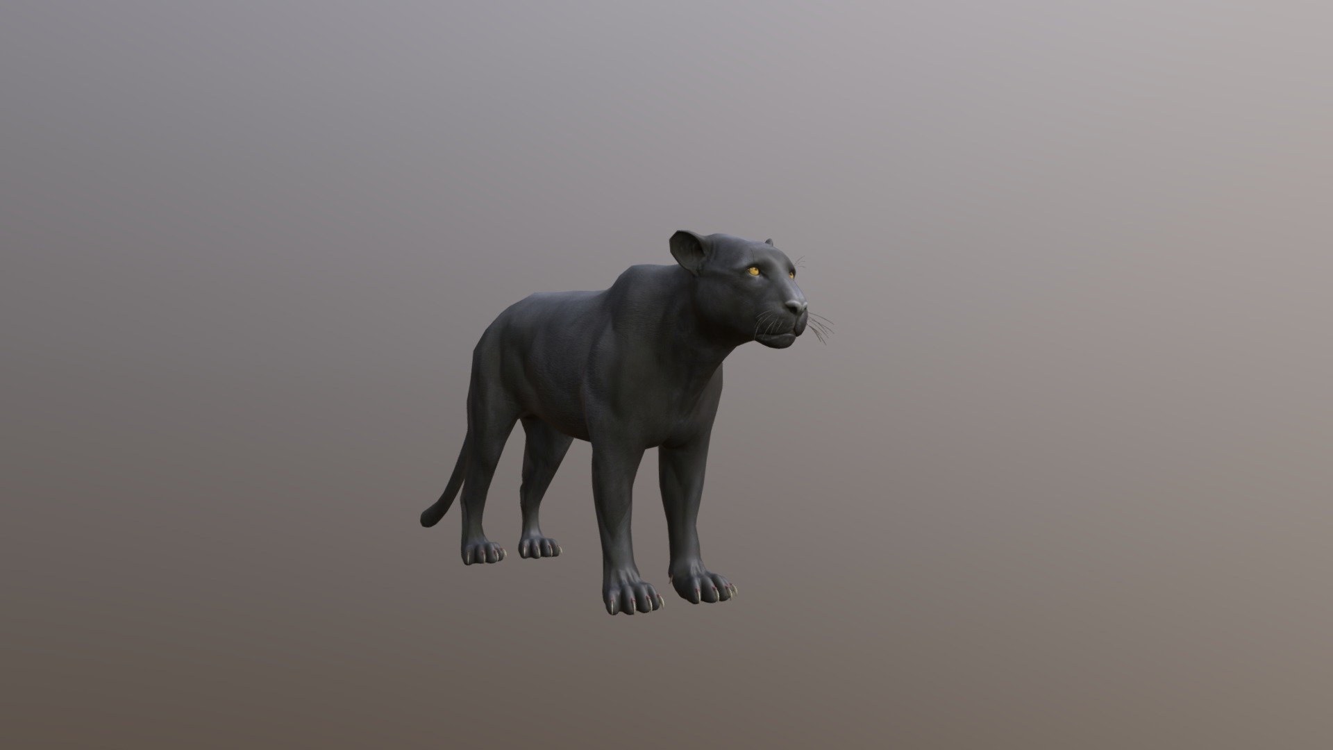 Simple animation for the Big Cat
&ldquo;Panther 3D Model