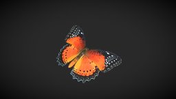Red Lacewing vr, butterflies, blender