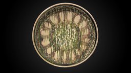 Dish with Sgraffito Decoration, 12th-13th C CE artsmia, photogrammetry