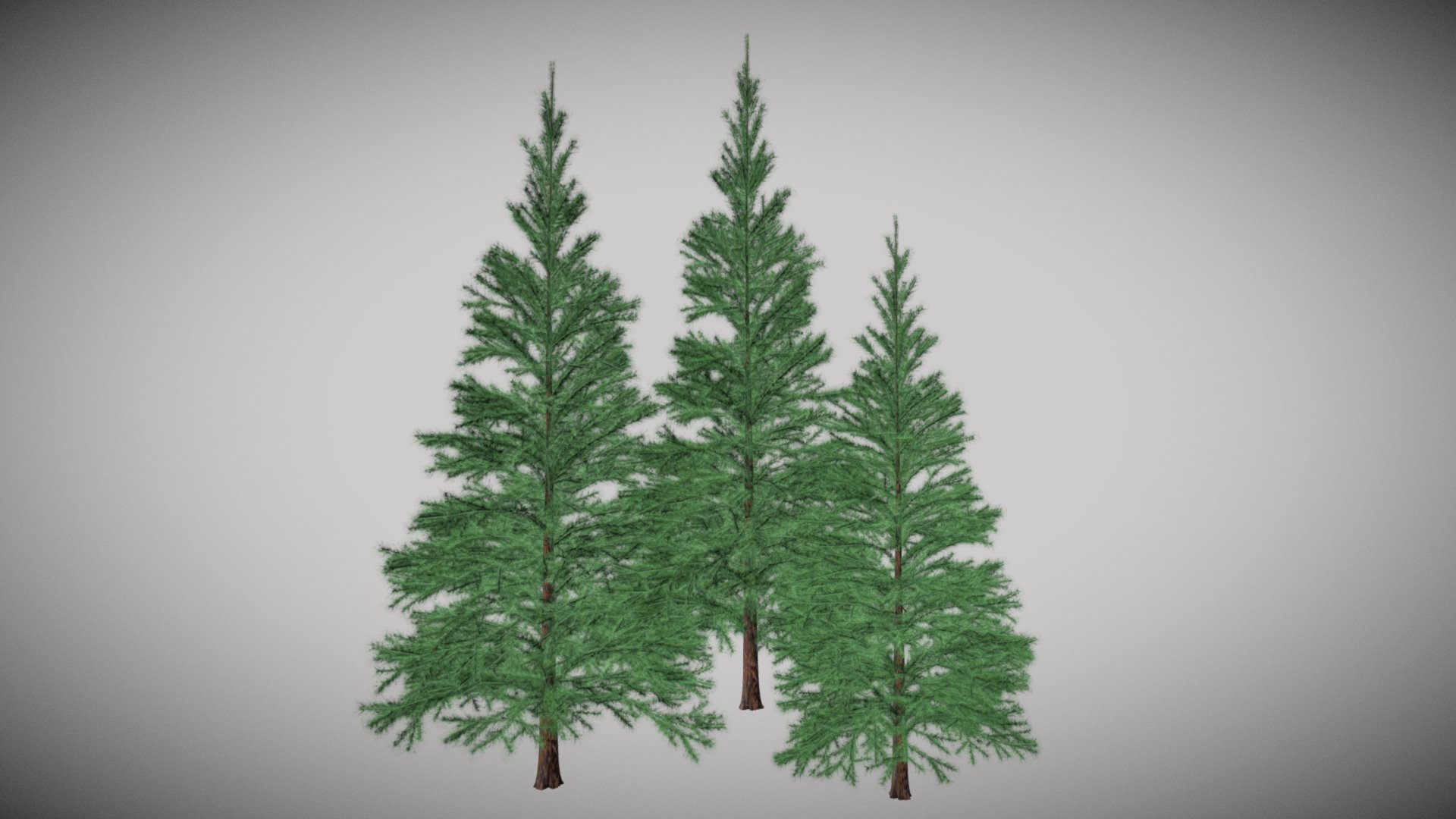 PBR Specular/Glossiness - One Material 2k

 Diffuse

 Gloss

 Normal

 Specular 
* Ambient Occlusion Ao

* Opacity - Conifers - Buy Royalty Free 3D model by Francesco Coldesina (@topfrank2013) 3d model