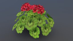 Geranium Game Asset plant, flower, fotogrammetry, geranium, nature-plants, lowpoly, gameasset, leaves, gameready