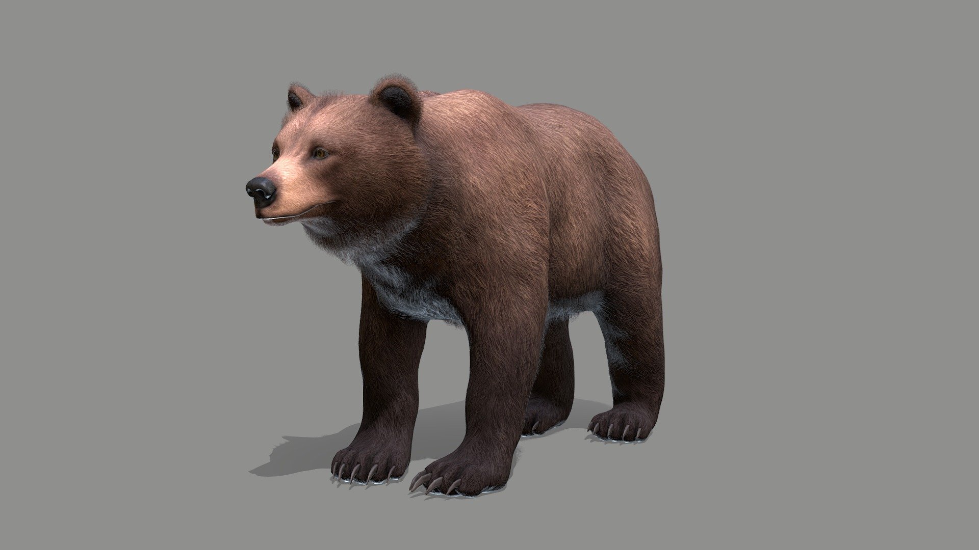 All files with animations are in the attached archive.

The attached archive contains: 




3 color options 

80 +IP/RM animations 

FBX, OBJ, Blend file formats

If you have any questions, write to me by mail 3d model