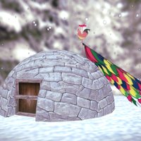 Snow House 