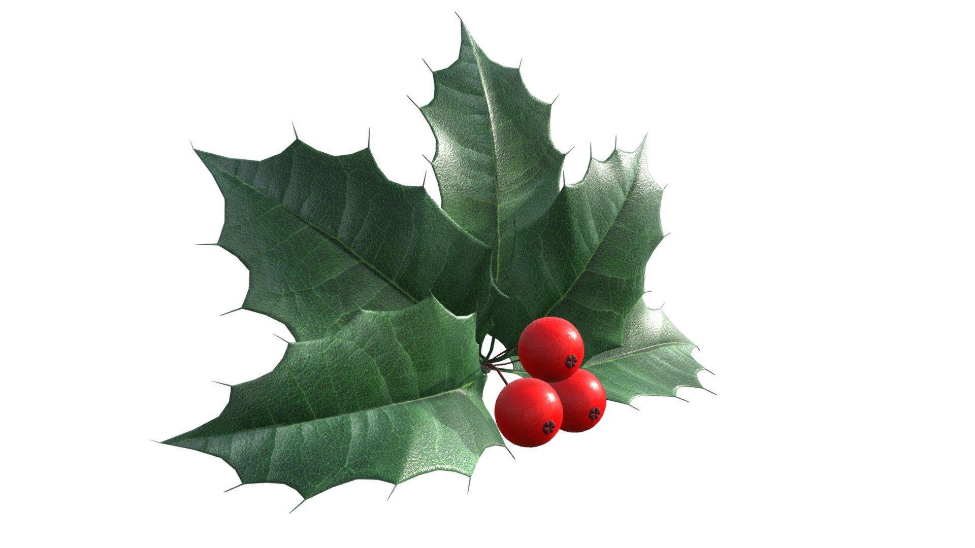 Processed with Batch Uploader - leaves and fruit - Buy Royalty Free 3D model by HQ3DMOD (@AivisAstics) 3d model