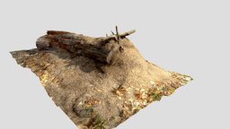 Ant Nest Log tree, insect, forest, log, nest, pile, fallen, woods, ants, liar, photogrammetry, 3d, scan, decayed-tree