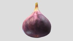Fig Low Poly PBR food, fruit, red, vr, pink, ar, figue, mulberry, figs, fig, metaverse, feg, adriatic, fico, ficus, figo, carica, figa, figen, moraceae, smochin, asset, game, 3d, low, poly, higo, feige