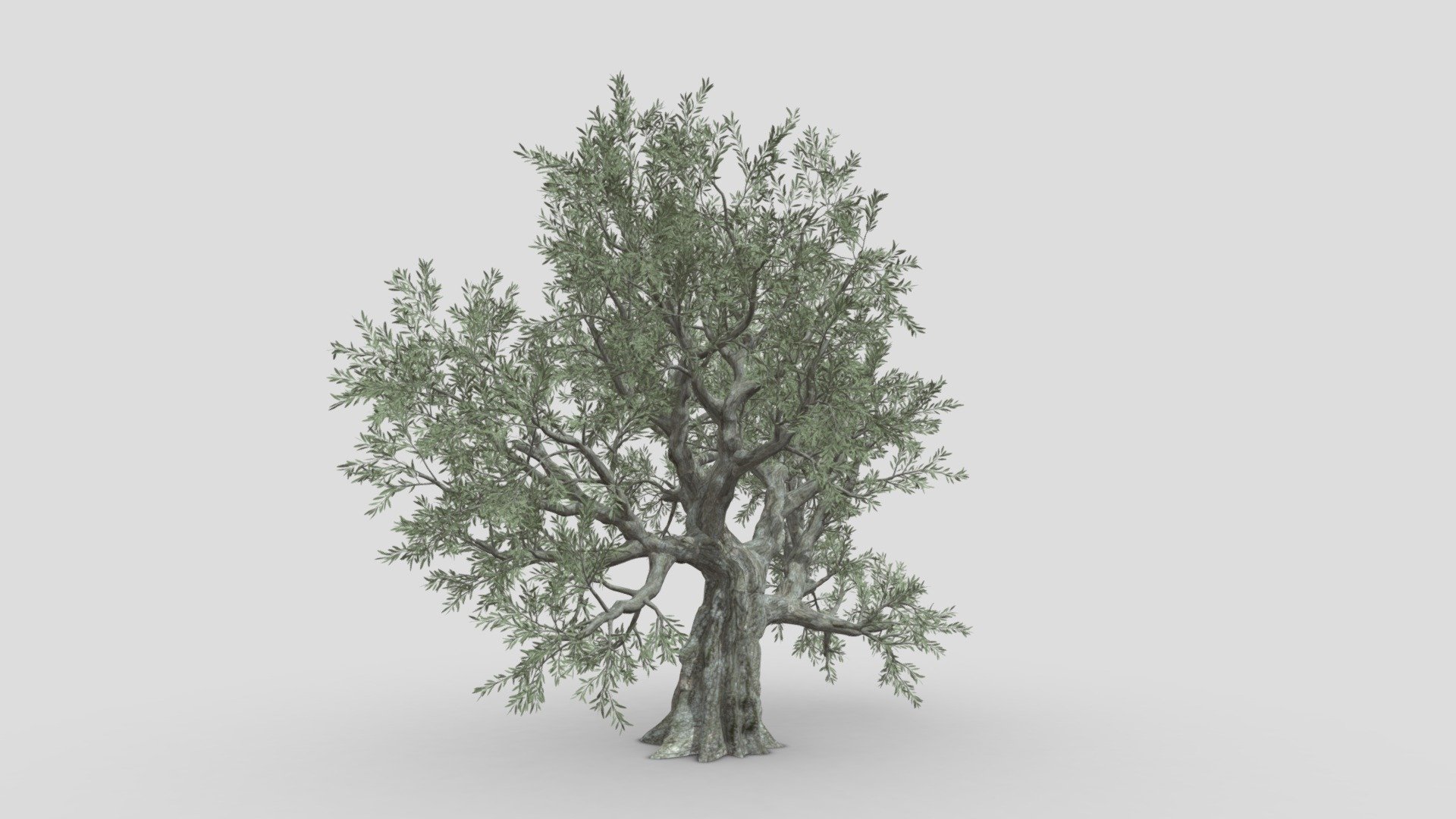This is a part of model taht has realitstic and high quality texture. we try to publish different style in one mode dues to limitaion we have to publish in different part. we hope you use it 3d model