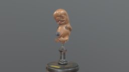 wax model embryo Institute of Anatomy Rostock anatomy, historical, embryology, embryo, pregnancy, human, model3d