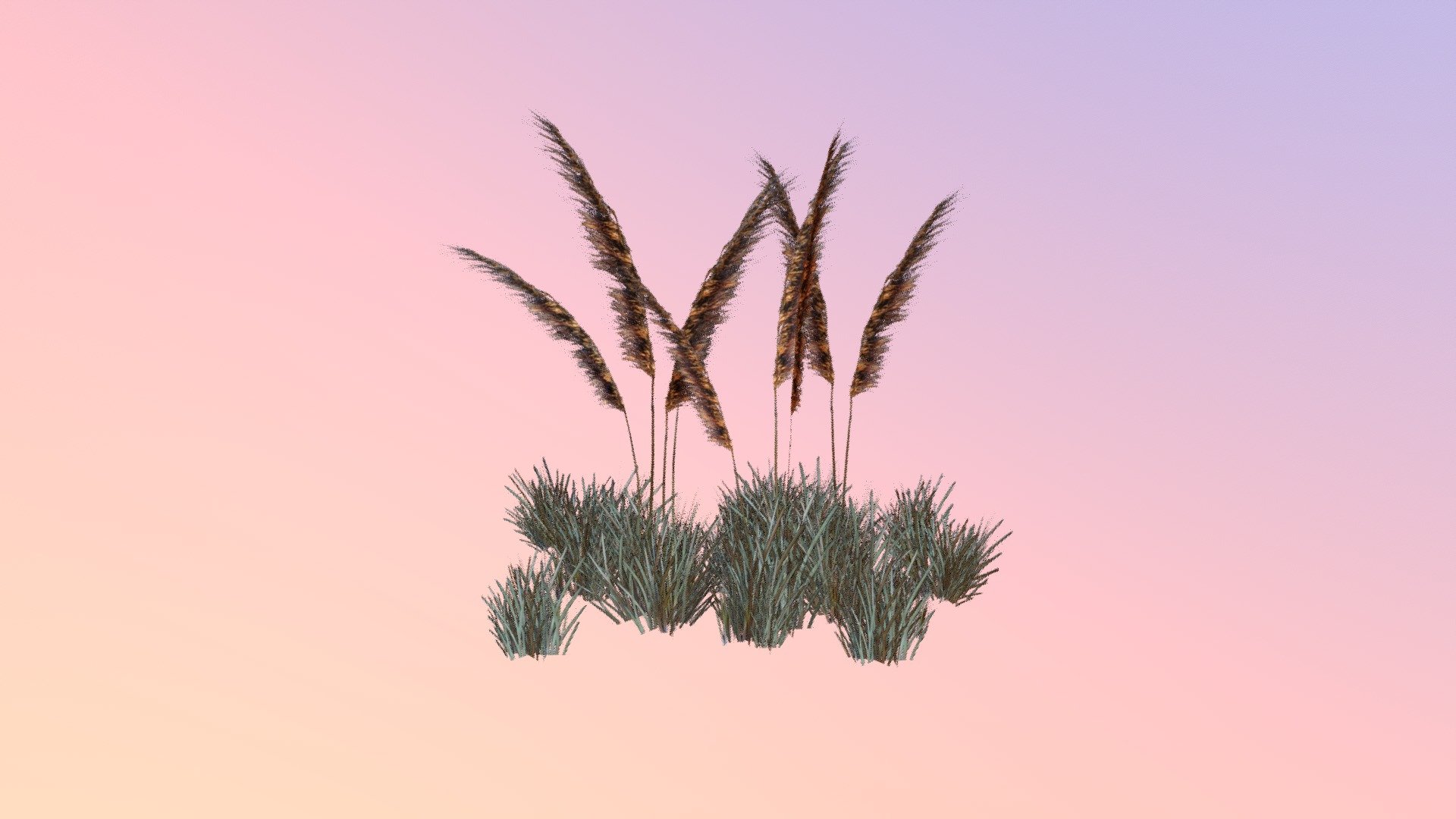 Lopsided Indiangrass (Sorghastrum secundum) 

University of Central Florida Ⓒ 2017

3D Artist Credit: Zachary Bledsoe

The Harrington Lab, UCF




 - Lopsided Indiangrass (Sorghastrum secundum) - 3D model by Virtual UCF Arboretum (@VirtualUCFArboretum) 3d model