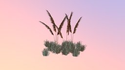 Lopsided Indiangrass (Sorghastrum secundum) 