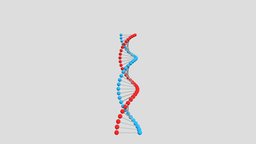 DNA organs, dna, dnk, human