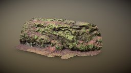 River Bank photoscan-photogrammetry-pbr-texturing