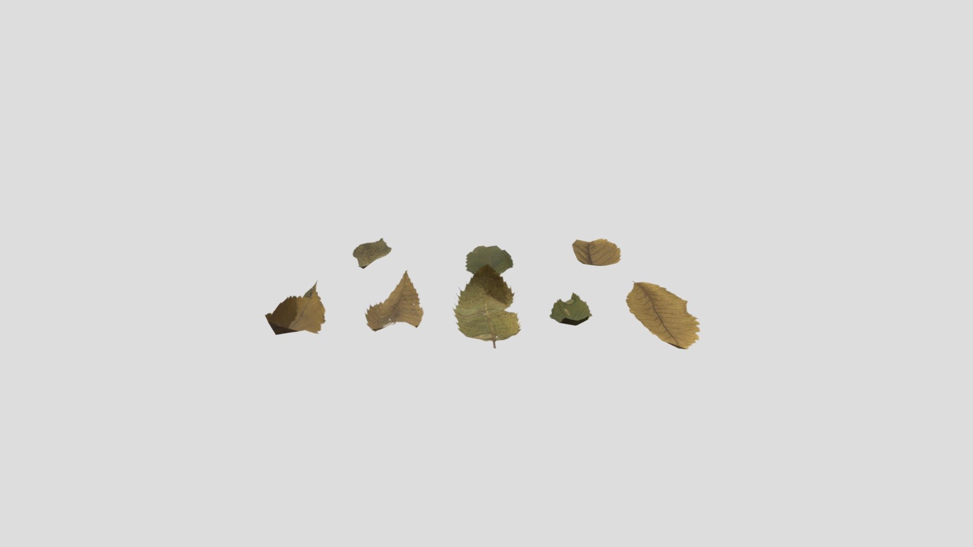 Fallen leaves, some individual leaves, - Fallen leaves, - 3D model by landuodehuli 3d model