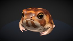 Desert Rain Frog cute, frog, realtime, toad, realistic, characterart, realism, amphibian, wildlife, personalproject, digital3d, charactermodelling, creatureart, maya, character, lowpoly, gameart, creature, zbrush, animal, gamemodel, gamecharacter, gameready, characterartist, creatureartist, rainfrog, cutefrog, noai, desertrainfrog, desertraintoad, raintoad, frogcore