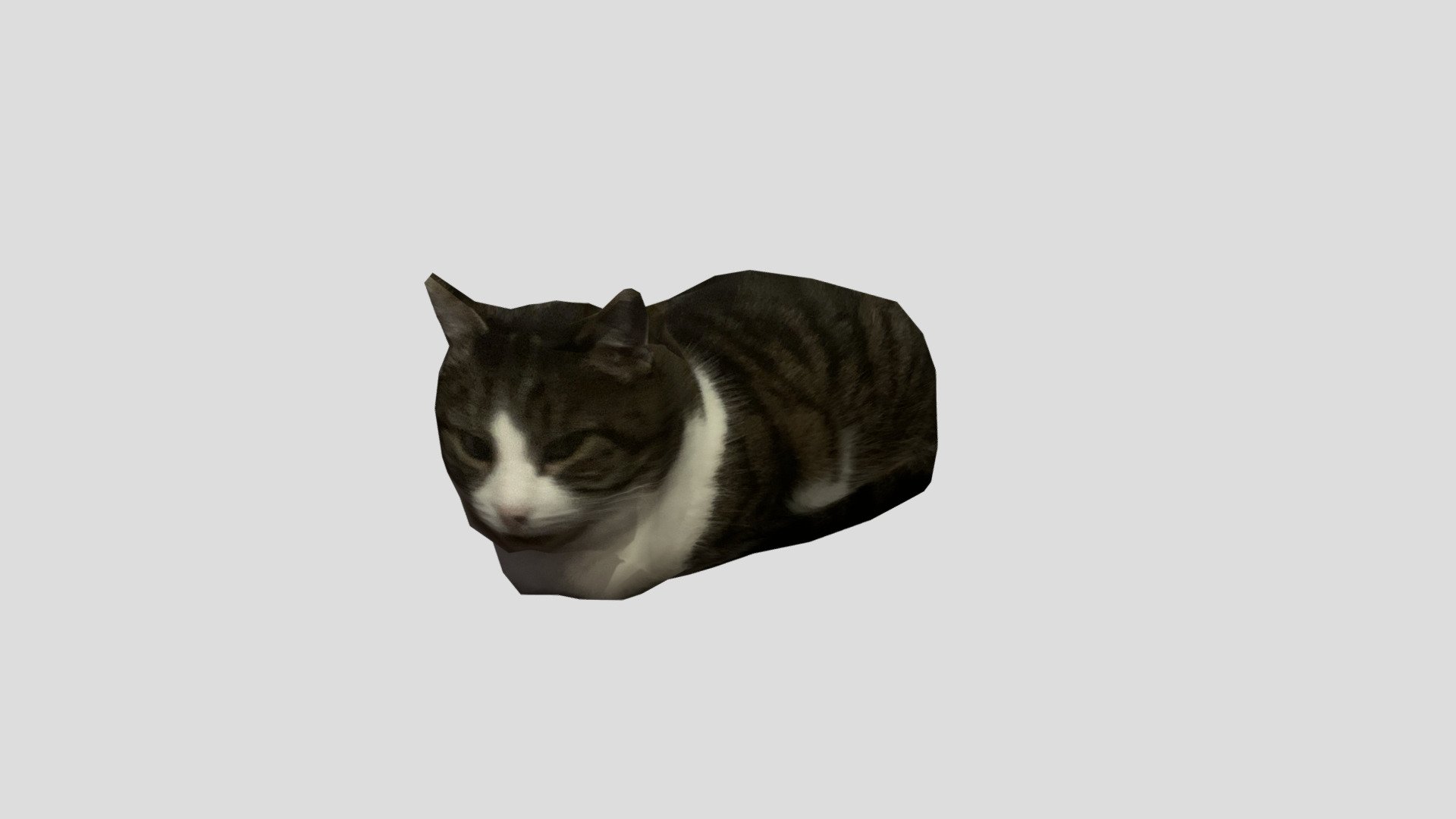 felix the cat, modelled from this image: https://data.bdan.io/catpics/149.jpg

more felix images: https://cat.bdan.io

mdl download for source engine: https://drive.google.com/file/d/1apNcv9qGZWajVq-Bg-iAdpoMDFTCv4Z5/view - felix loaf - Download Free 3D model by anna (@fml42) 3d model