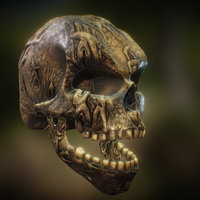 Skull substancepainter, substance, skull, zbrush