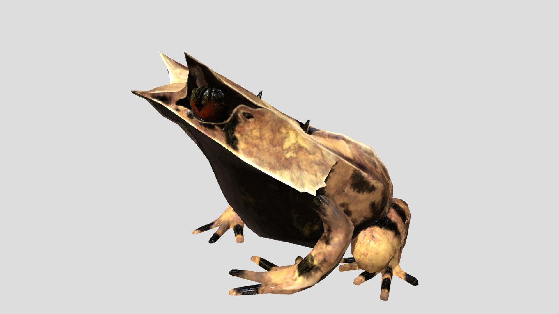Borneo Horned Frog ミツヅノコノハガエル - Borneo Horned Frog ミツヅノコノハガエル - 3D model by Mozukui (@redfrogman) 3d model
