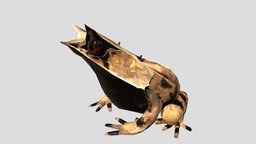 Borneo Horned Frog ミツヅノコノハガエル frog