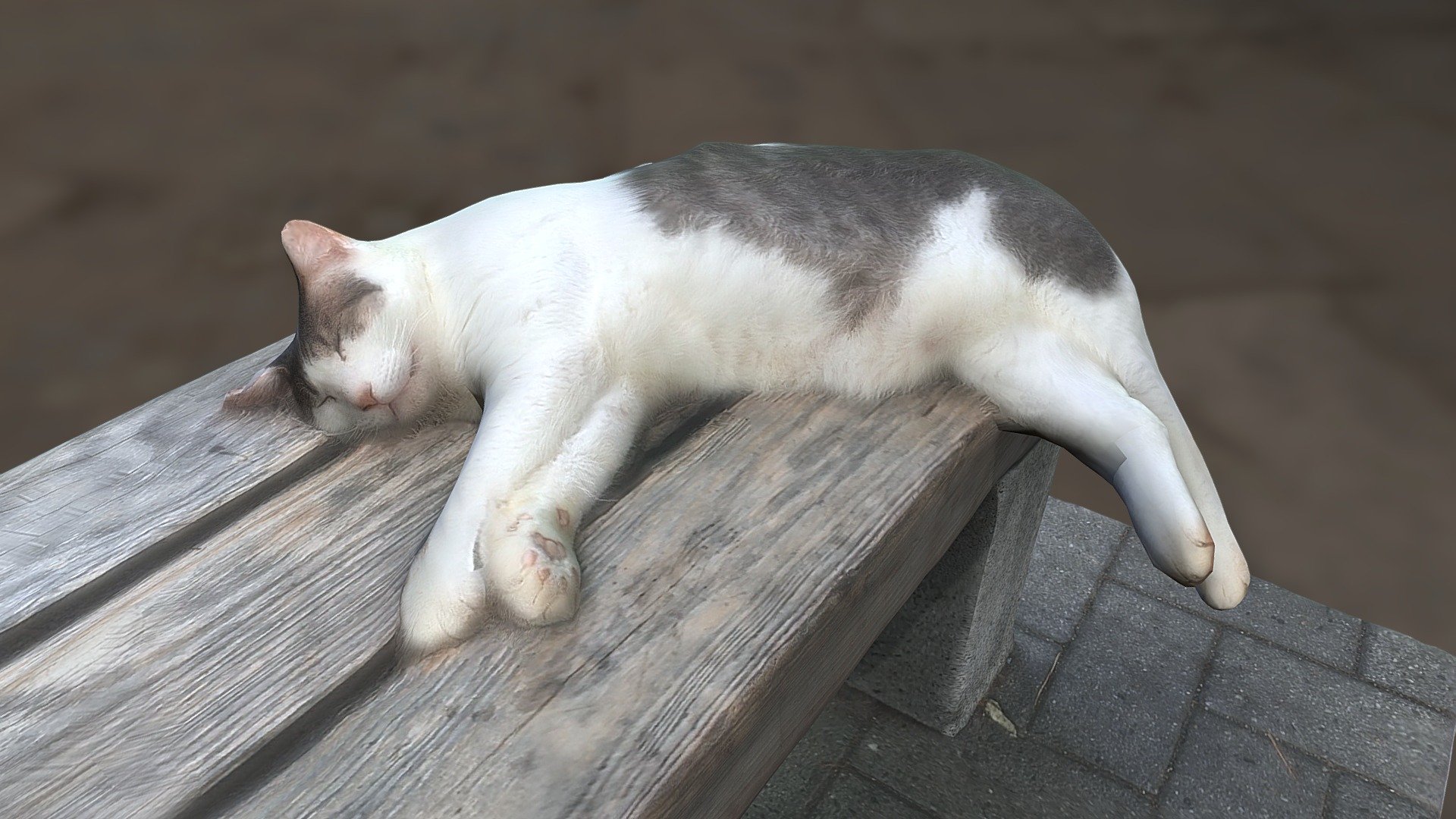 Cat - 3D model by Yu (@FFT_kedar) 3d model