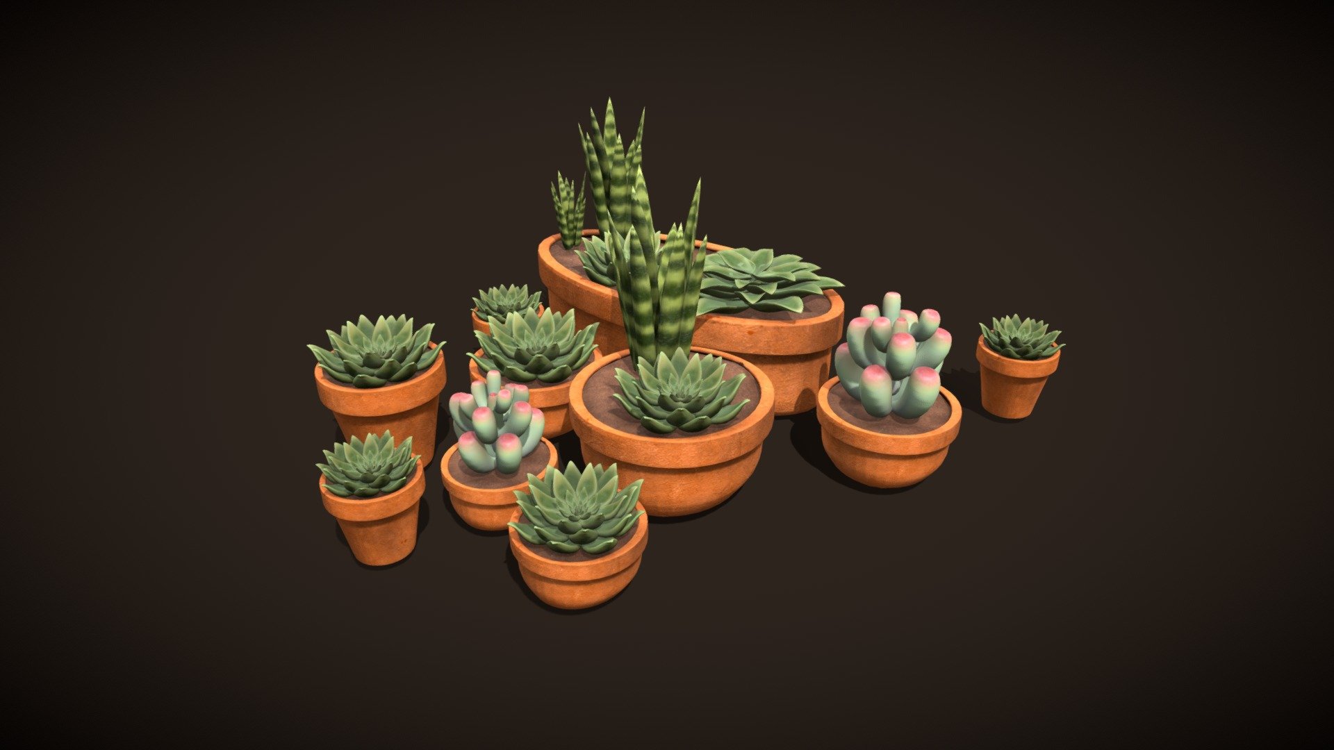 A group of succulents, including a Cuspidata, a Fernwood Snake, A Jellybean, and a Superbum 3d model