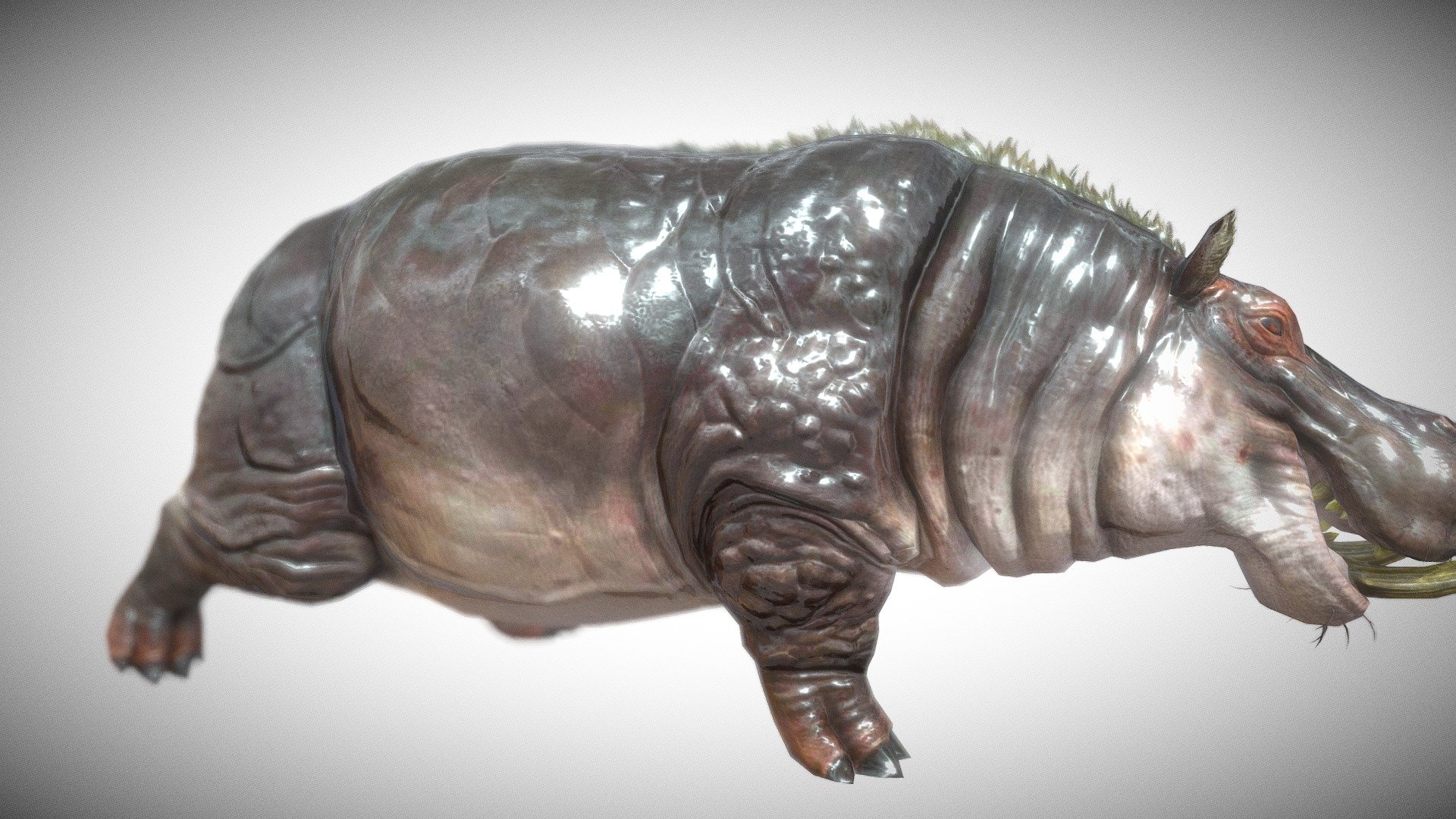 Hunting Gameready character , related animations: Walk (1 types), Idle (3types), Attack (3 types), Die (2 Types), Run (2 types), - Hippopotamus - 3D model by ElectroNick 3d model