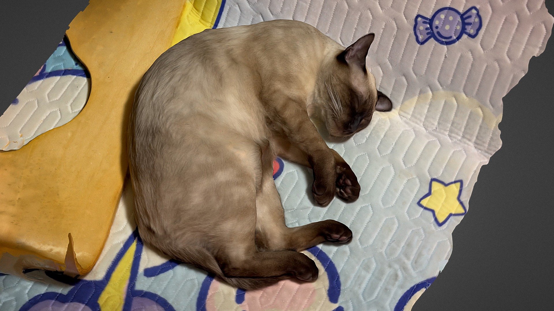 cat - 3D model by Yu (@FFT_kedar) 3d model