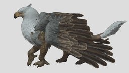 Griffin Animated flying, eagle, pet, glider, lion, mythology, griffin, fantasy