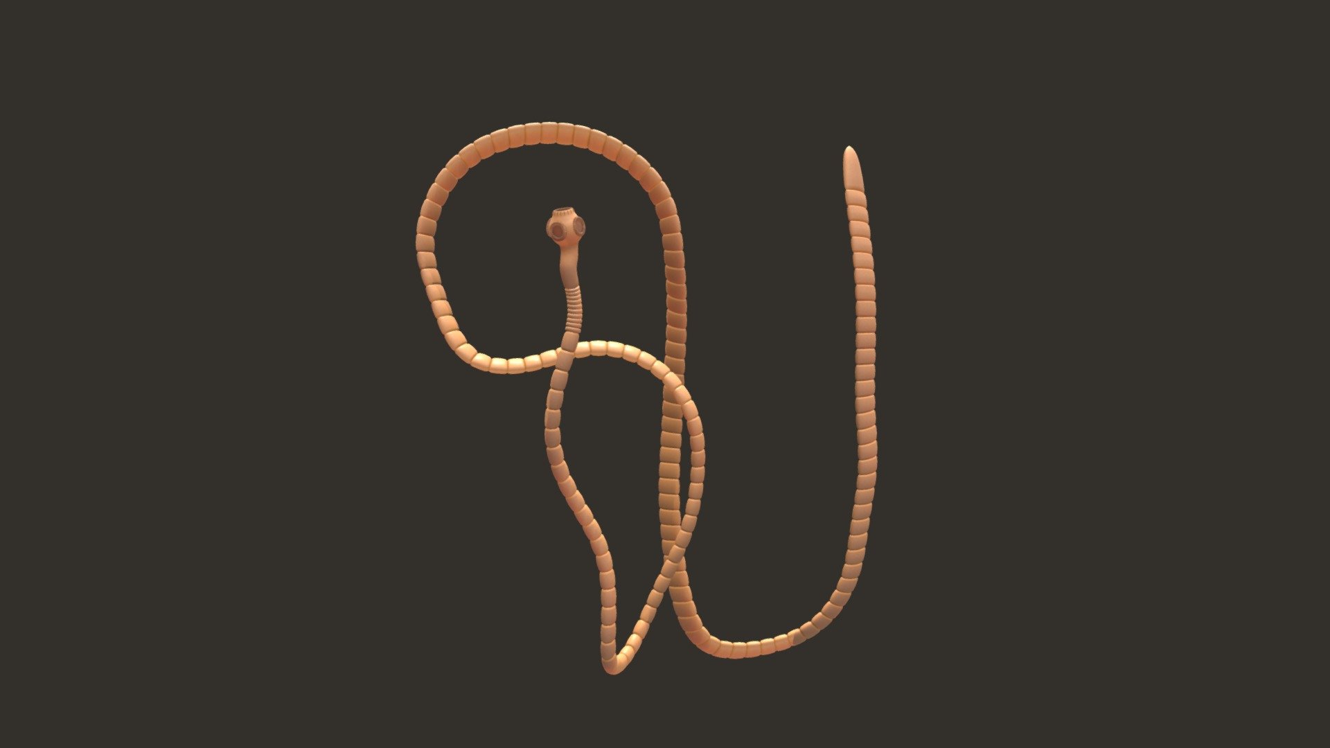 TapeWorm - 3D model by Blueii (@p.jitendra1893) 3d model