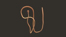 TapeWorm insects, tapeworm, science-fiction