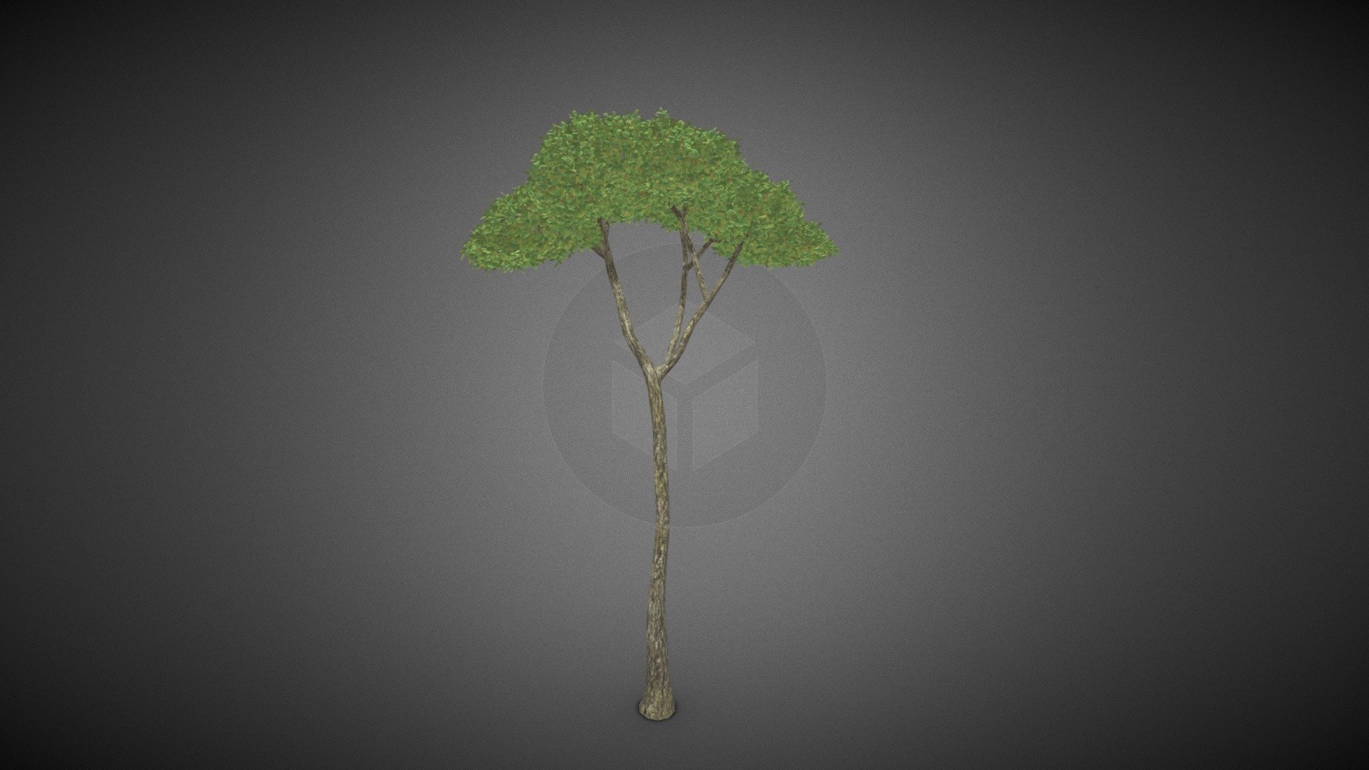 Tree shrub - Tree shrub - Buy Royalty Free 3D model by misitewang 3d model