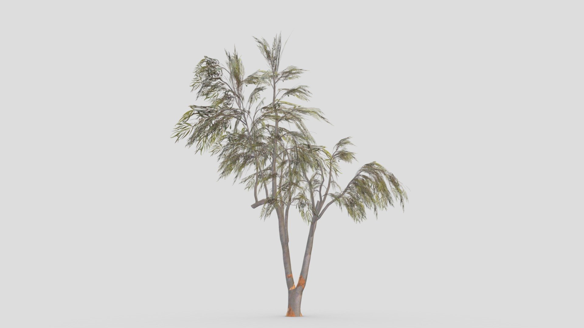 This is a low poly model of the Eucalyptus Aus Tree. I made this file for game developers and I try to provide lowpoly model 3d model
