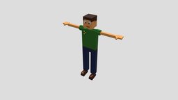 Voxel Man Henry