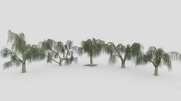 Weeping Willow Tree Pack-P2 pack, collection, weeping, willow, weepingwillow, asma3d, 3dweepingwillow, lowpolyweepingwillow, 3dweeepingwillow, 3dlowpolyweepingwillow, shidareyanagi, chui-liu, trauerweide, saucelloron, treurwilg