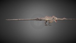 wyvern wyvern, substancepainter, creature, fantasy, dragon