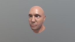 Joe Rogan Bust joe, substancepainter, substance, bust, rogan, jre